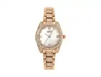 Bevilles Jewellery Roberto Carati Luna Rose Gold and Mother of Pearl Watch offer