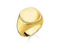 Bevilles Jewellery Thomas Sabo Ring "Classic" - 50 offer