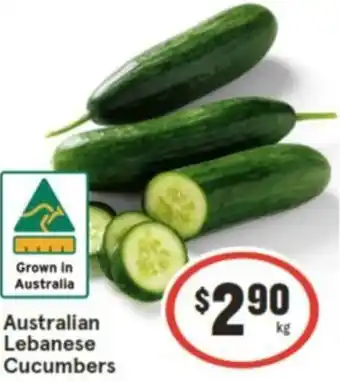 IGA Australian Lebanese Cucumbers offer