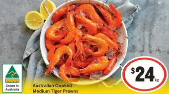 Australian Cooked Medium Tiger Prawns