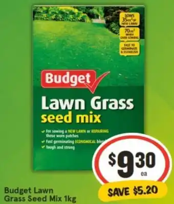 Budget Lawn Grass Seed Mix 1kg