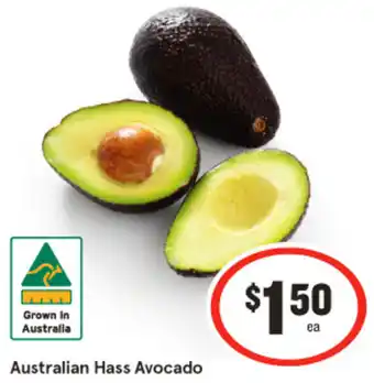 Australian Hass Avocado