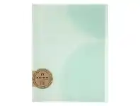 Officeworks Bloomin Display Book 10 Pocket Mint Green offer