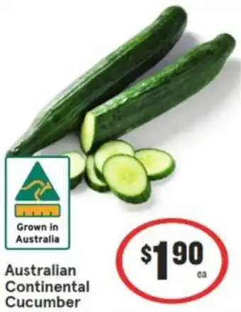 IGA Australian Continental Cucumber offer
