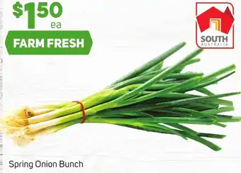 Foodland Spring Onion Bunch offer