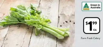 Foodworks Farm Fresh Celery offer