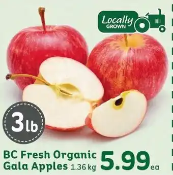 IGA BC Fresh Organic Gala Apples offer