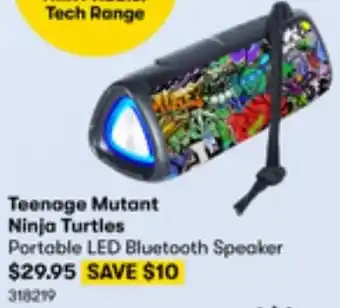 BIG W Teenage Mutant Ninja Turtles offer