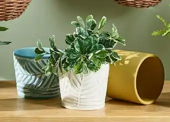 30% off Ceramic Planter Pots 12 x 14cm