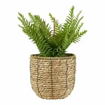 Spotlight 30% off Fern in Rattan Basket 35.5cm offer