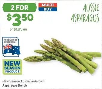 New season australian grown asparagus bunch