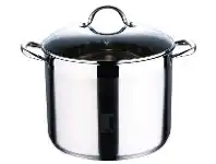 Harris Scarfe Bergner Gourmet Stainless Steel Induction Stockpot 16L offer
