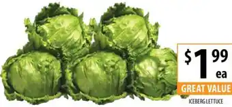 ICEBERG LETTUCE
