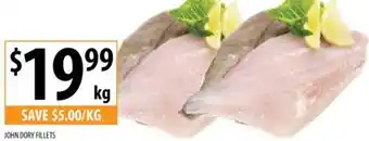 JOHN DORY FILLETS
