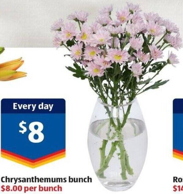 ALDI Chrysanthemums bunch offer