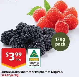 Australian Blackberries or Raspberries 170g