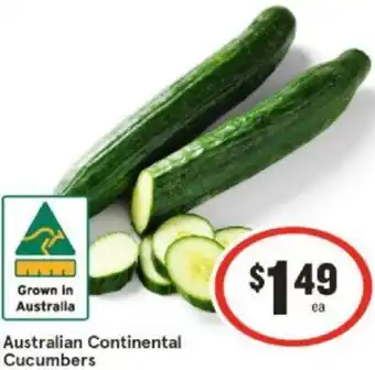 IGA Australian Continental Cucumbers offer