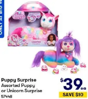 BIG W Puppy Surprise Assorted Puppy or Unicorn Surprise offer