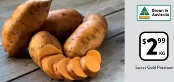 Sweet Gold Potatoes