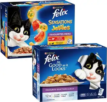BIG W Felix 12-pack cat food pouch varieties 85g offer