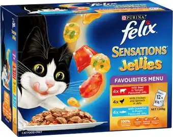 BIG W Felix 12-pack cat food pouch sensations jellies favourites menu 85g offer