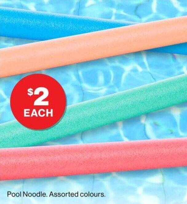 Pool Noodle offer at The Reject Shop