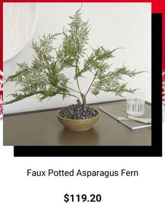 Pottery Barn Faux Potted Asparagus Fern offer
