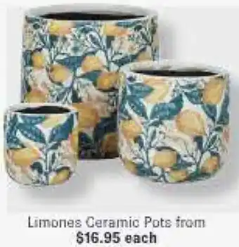 Limones Ceramic Pots