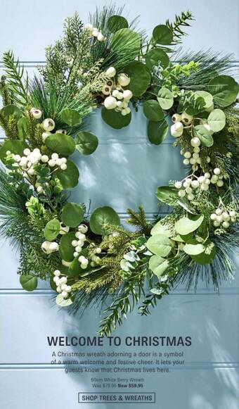 Minimax 60cm White Berry Wreath offer