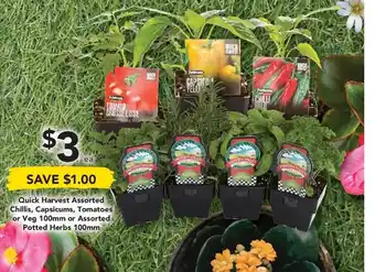 Drakes Quick Harvest Assorted Chillis, Capsicums, Tomatoes or Veg 100mm or Assorted Potted Herbs 100mm offer