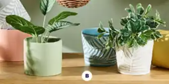Spotlight Potted Plants & Planter Pots - Ceramic Planter Pots 12 x 14cm offer