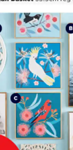 Spotlight All Wall Prints & Wall Decor - Jocelyn Proust, Rosella 50 x 50cm offer