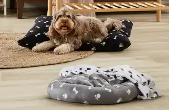Max & Mittens Pet Beds & Brillant Basics Pet Blankets