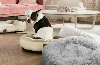 Stuft Ped Beds, Tails Pet Beds & Noble Pet Beds