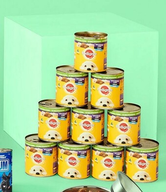 BIG W Pedigree 12-Pack Dog Food Can Varieties 700g offer