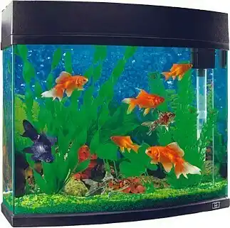 BIG W Marine Masters 20-Litre Marine Master Fish Tank offer