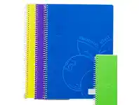 BIG W Colourhide 120 Page A4 Scented Spiral Notebook - Pineapple offer
