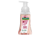 BIG W Palmolive Foaming & Nourishing Japanese Cherry Blossom Hand Wash 250ml offer