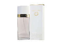Direct Chemist Outlet Elizabeth Arden True Love EDT 100ml offer