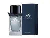 Direct Chemist Outlet Burberry Mr. Burberry Indigo EDT 100ml offer