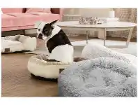 BIG W Stuft Ped Beds, Tails Pet Beds & Noble Pet Beds offer