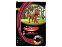 BIG W Supercoat Smart Blend Dry Adult Dog Food 12kg - Beef offer