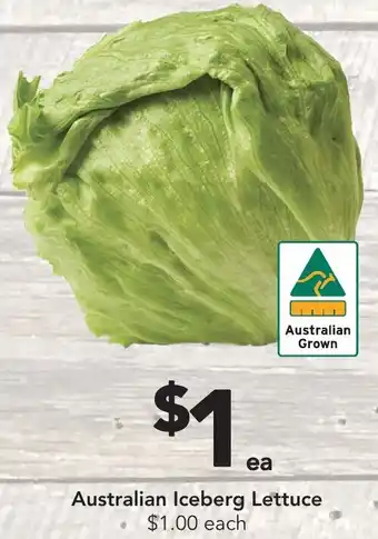 Australian Iceberg Lettuce