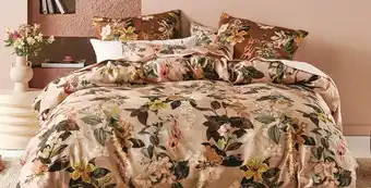 Spotlight Linen house giannina quilt cover set offer