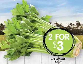 Spudshed Celery offer