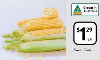 Foodworks Sweet Corn offer