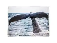 LivingStyles "Whale Tail" Framed Canvas Wall Art Print, 110cm offer