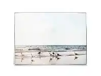 LivingStyles "Seagulls On Shore " Framed Canvas Wall Art Print, 110cm offer