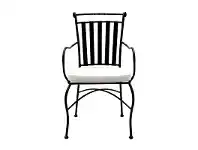 LivingStyles Adele Iron Carver Chair offer