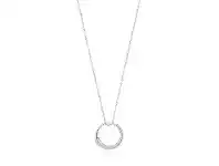 Bevilles Jewellery Ania Haie Luxe Circle Necklace - Silver offer